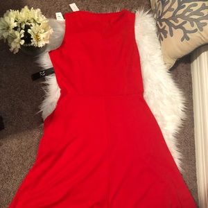 New York & Company Cotton Bateau-Neck Flare Dress